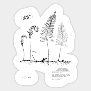 Iron & Wine Resurrection Fern Sticker